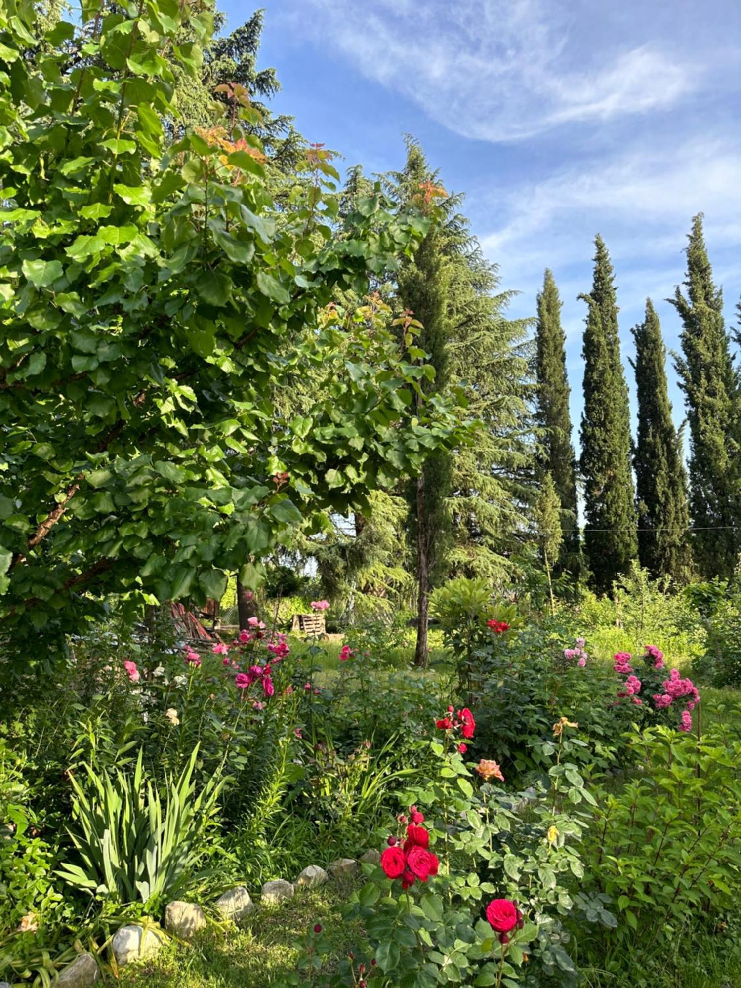 Orenda Telavi Exteriör bild